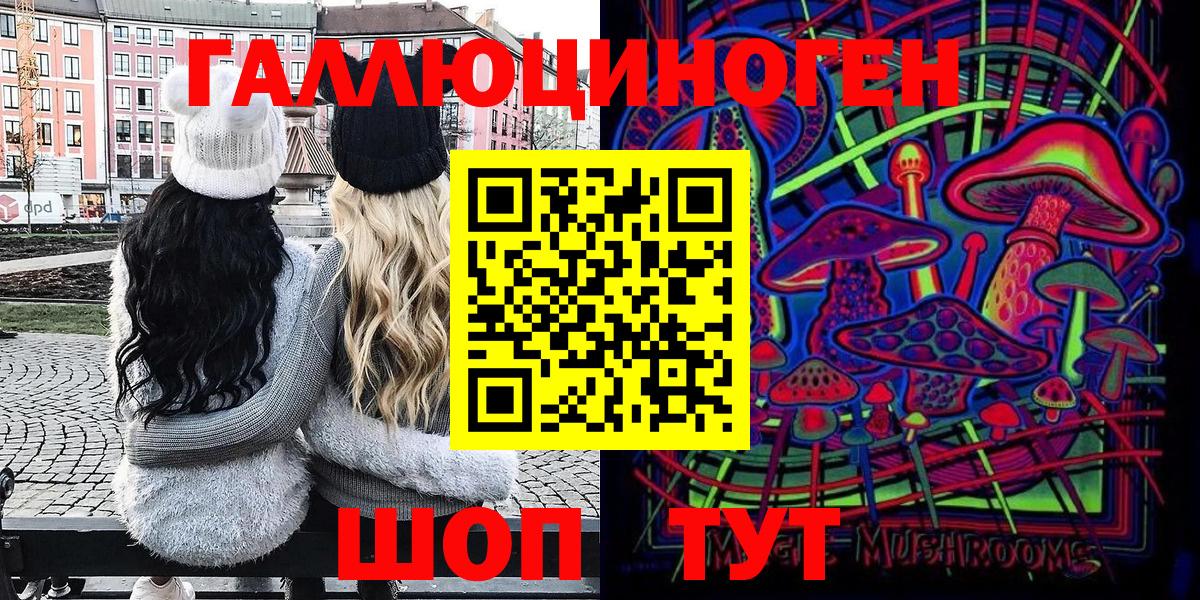 Псилоцибиновые грибы Cubensis  Вход с VPN  Урус-Мартан 